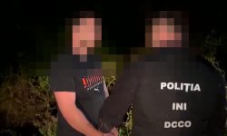 VIDEO Un tânăr, reținut în flagrant, în timp ce plasa droguri în ascunziș. Valoarea acestora este de 1 500 000 lei