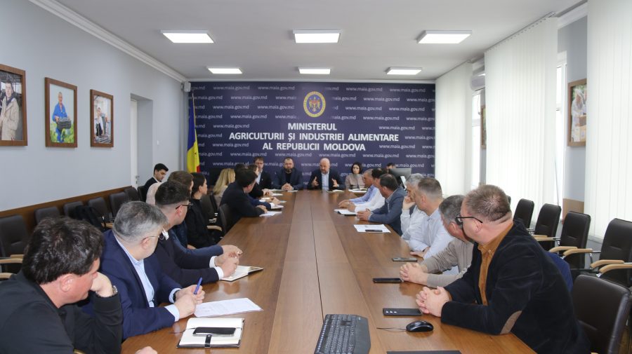 Discuții la Ministerul Agriculturii, despre problemele de la „Floarea Soarelui”. Ce urmează?