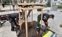 FOTO,VIDEO Un nou sistem de irigare a fost instalat la copacii din Scuarul „Mihai Eminescu” din Capitală