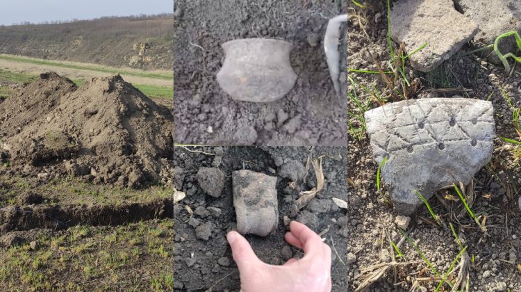 Vestigii de 3000 de ani, găsite pe terenul de la Ţîpova, unde se face pensiune. FOTO, VIDEO cu obiectele de epocă
