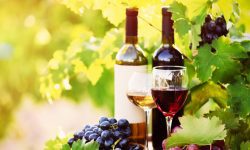 Vinurile din Moldova, vedete în Europa. Băutura, la mare căutare peste hotare. Cât au crescut exporturile?