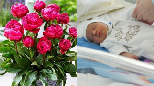 Binecuvântare! Patru bebeluși au venit pe lume la o maternitate din Capitală, în Noaptea Învierii