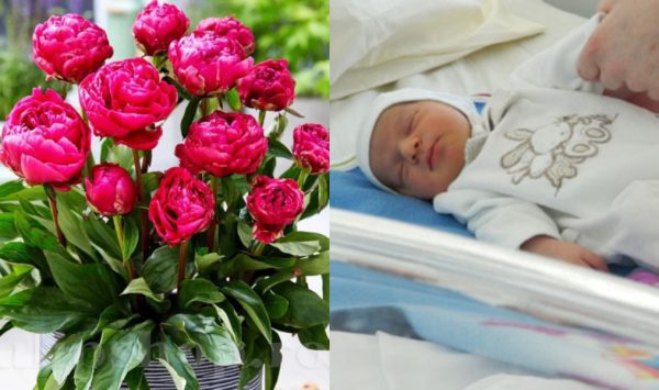 Binecuvântare! Patru bebeluși au venit pe lume la o maternitate din Capitală, în Noaptea Învierii