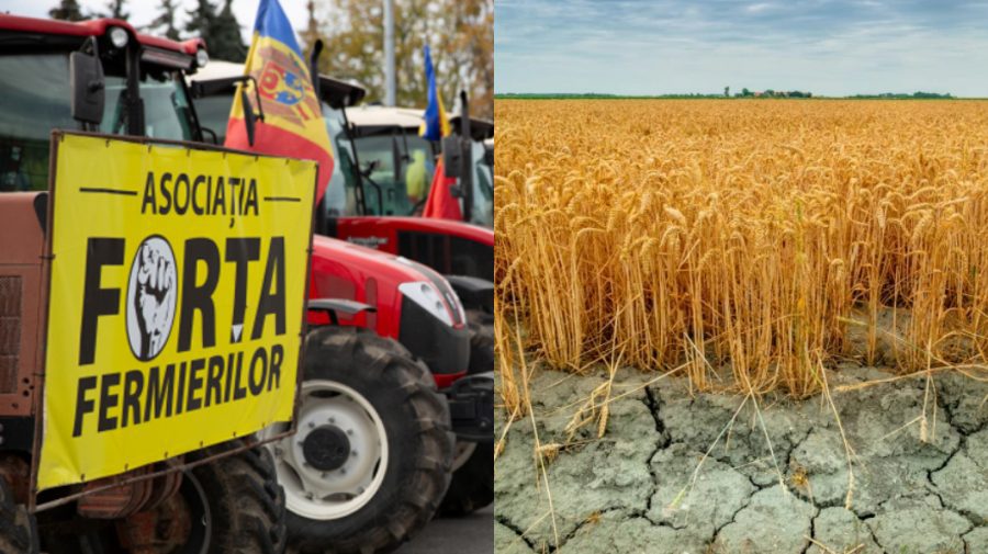Secetă în Republica Moldova. Fermierii cer intervenția autorităților și ajutoare europene