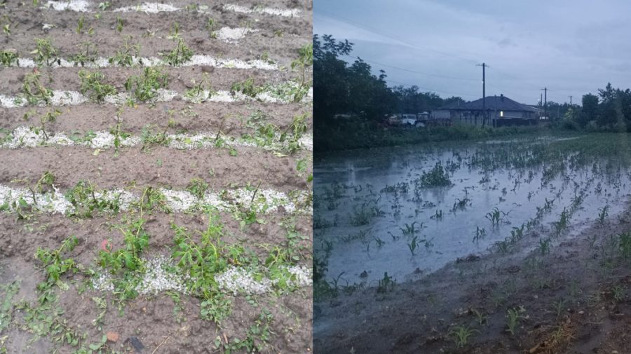 FOTO Ploile puternice și grindina au făcut prăpăd la Hîncești și Ungheni. Străzi și culturi agricole, inundate