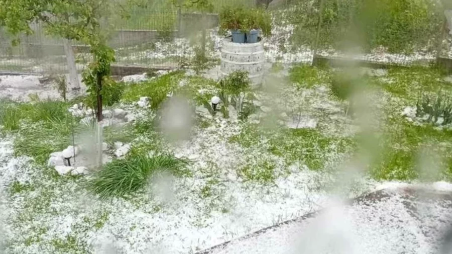 VIDEO Grindina a făcut prăpăd în vestul României