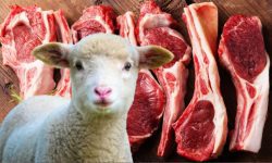 VIDEO Sărbătorile pascale se apropie cu pași rapizi! Cât costă carnea de miel la Piața Centrală din Bălți