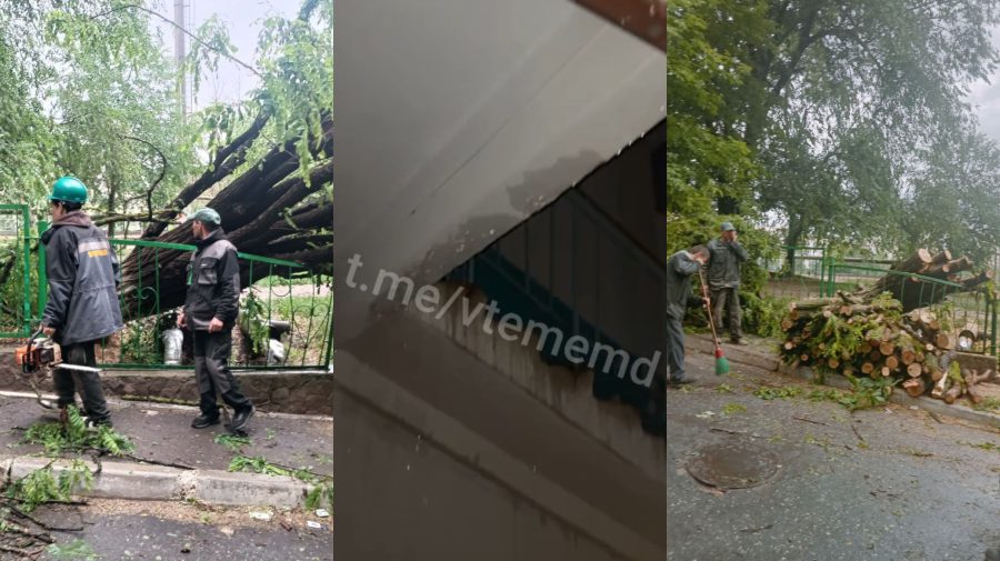 FOTO, VIDEO Consecințele ploii de marți seara: Blocuri inundate, copaci doborâți la pământ și fire electrice rupte