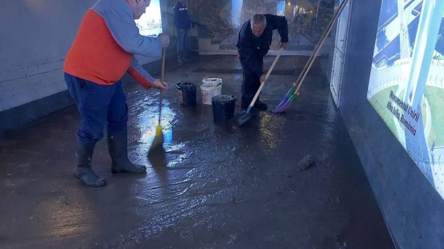 Străzi inundate și crengi căzute după ploaia de ieri seara. Intervenția serviciilor municipale
