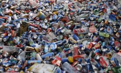 Oamenii de știință au reușit să producă „plasticul viu” cu care ar putea salva planeta de la dezastru ecologic