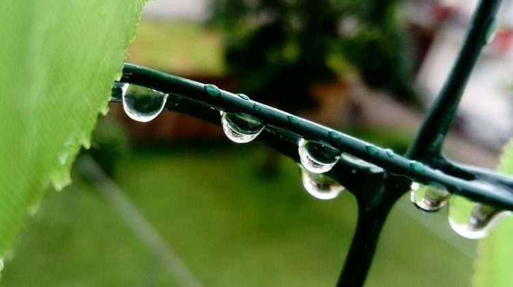 Ploi slabe pe întreg teritoriul R. Moldova. Ce temperaturi prognozează meteorologii pentru astăzi