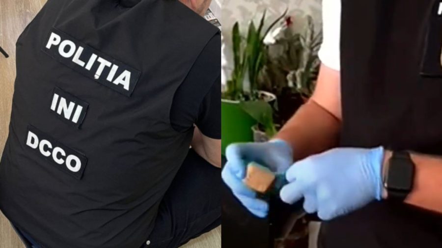 VIDEO Vindea droguri prin Telegram. Administratorul canalului, reținut de oamenii legii