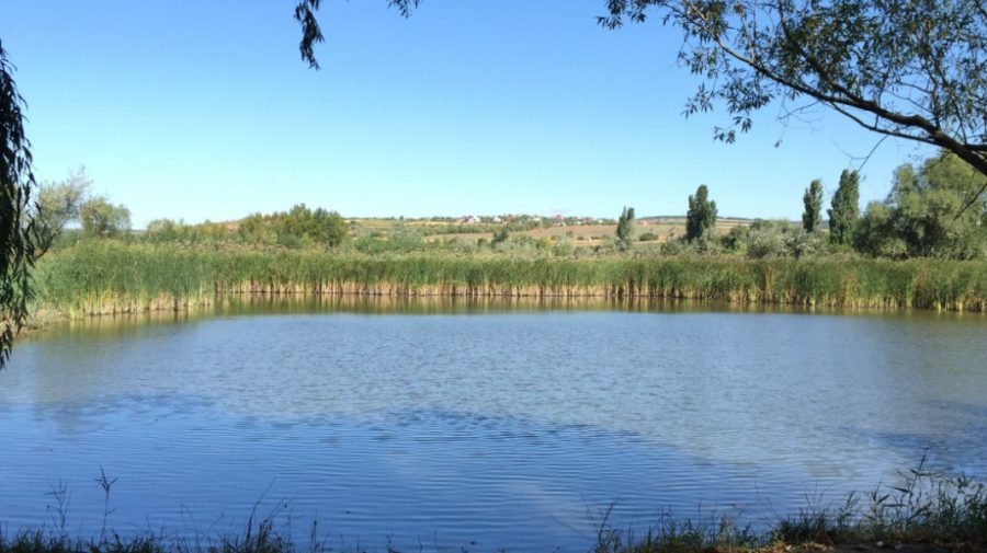 UPDATE Tragedie fără margini! Băiatul, care s-a înecat în iazul de la Ghidighici, era cu un grup de prieteni