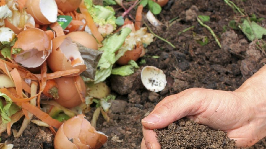 Interzisă arderea, dar seara apare miros de fum! Dragi moldoveni, iată metode ecologice de gestionare a resturilor