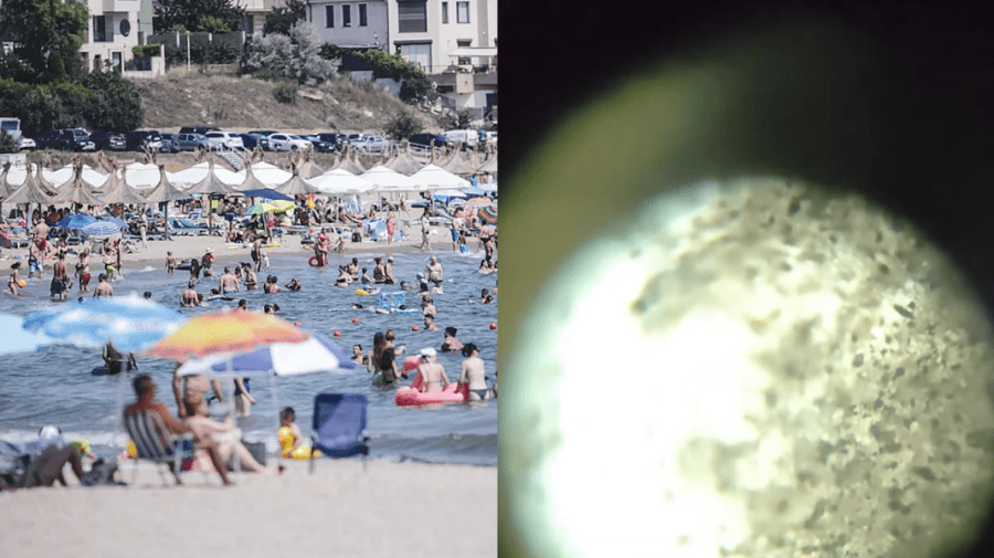 Turiștii care se odihnesc pe litoralul românesc au observat în apă o substanță suspectă