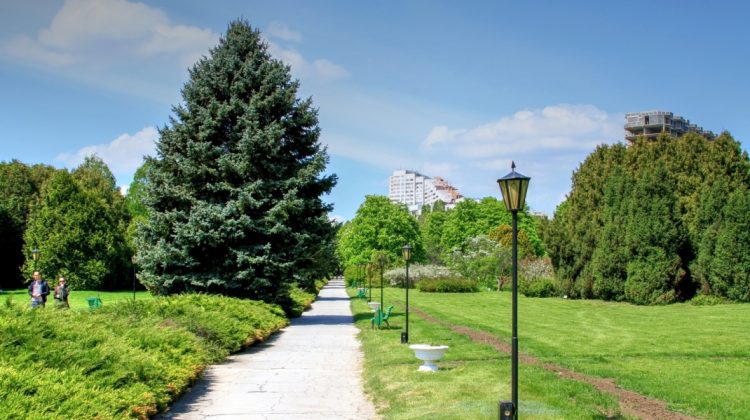 Specialiștii în botanică vor să modifice numele anumitor plante, dacă sunt considerate ofensatoare