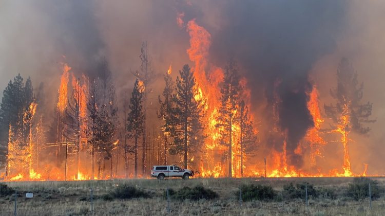VIDEO Incendiu de vegetație în California de Nord. Mii de persoane au fost evacuate