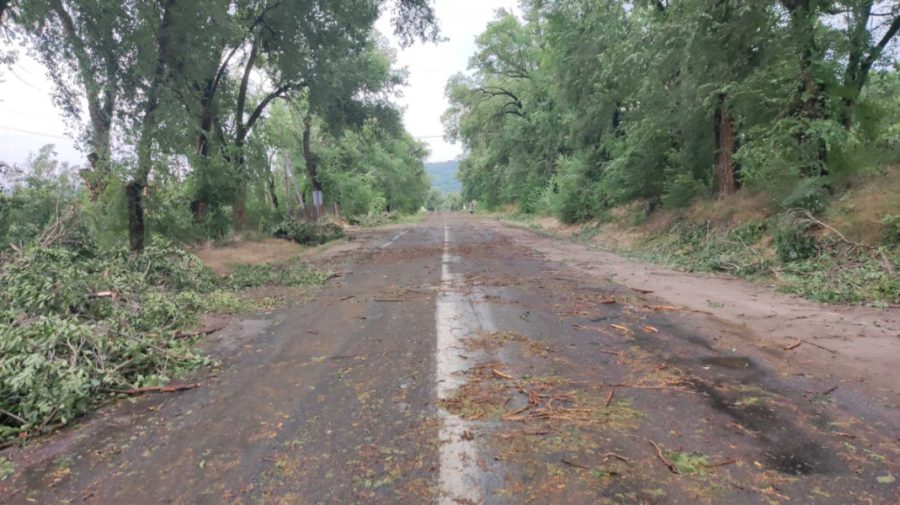 FOTO Șapte drumuri naționale din Moldova au fost afectate de vântul și ploile de miercuri seara