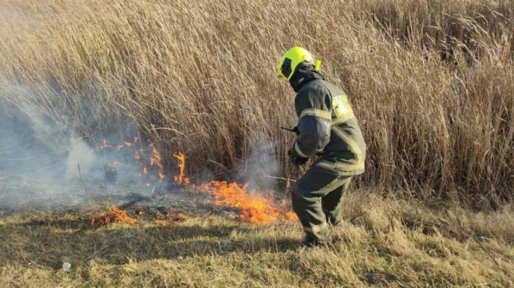 Pompierii, în luptă cu flăcările: 41 de incendii de vegetație, lichidate în ultimele 24 de ore