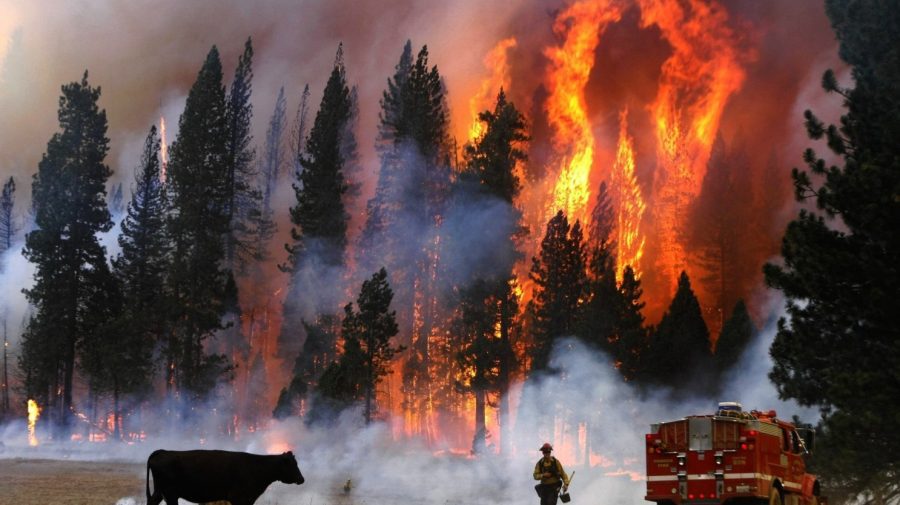 Mii de persoane au fost evacuate din cauza unui incendiu masiv în California