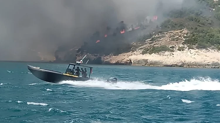 VIDEO 1.000 de turiști, evacuaţi dintr-un camping din Italia, din cauza unui incendiu de pădure care se extinde