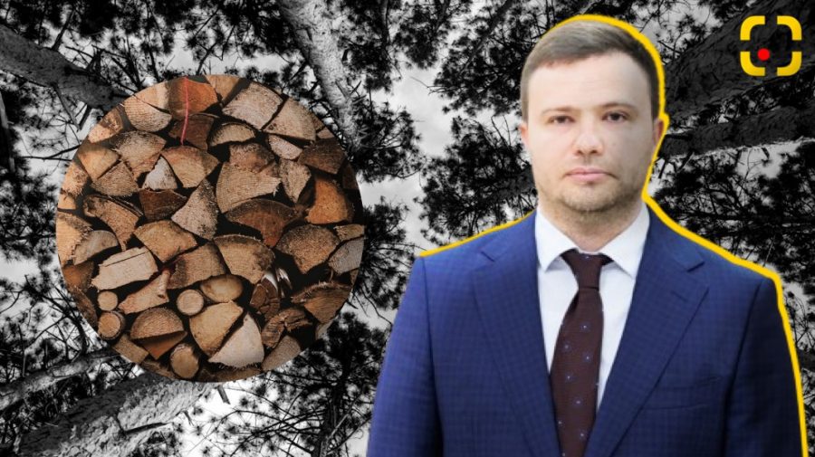 Ministrul Mediului mustră silvicultorii: „Avem cea mai mică rată de împădurire din Europa”. Și încă mai furăm!