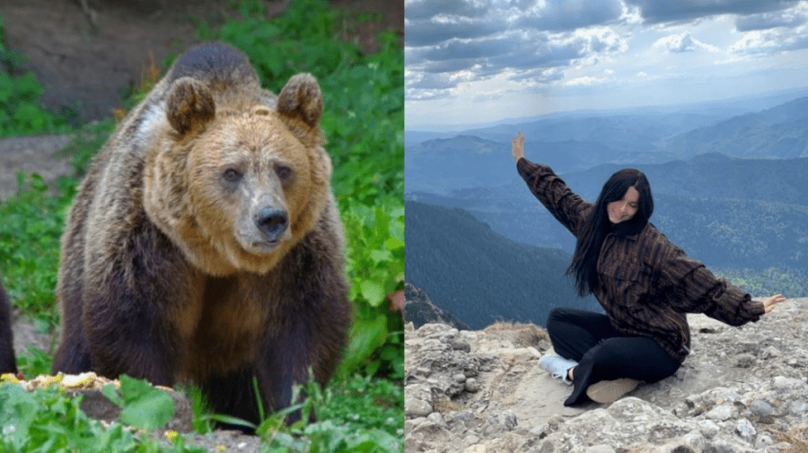 În atenția turiștilor moldoveni care fac drumeții pe trasee montane: Cum să vă salvați de urși?