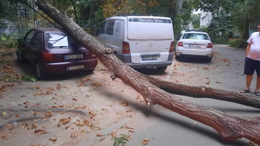 FOTO Furtuna a făcut ravagii în mai multe sectoare din Capitală