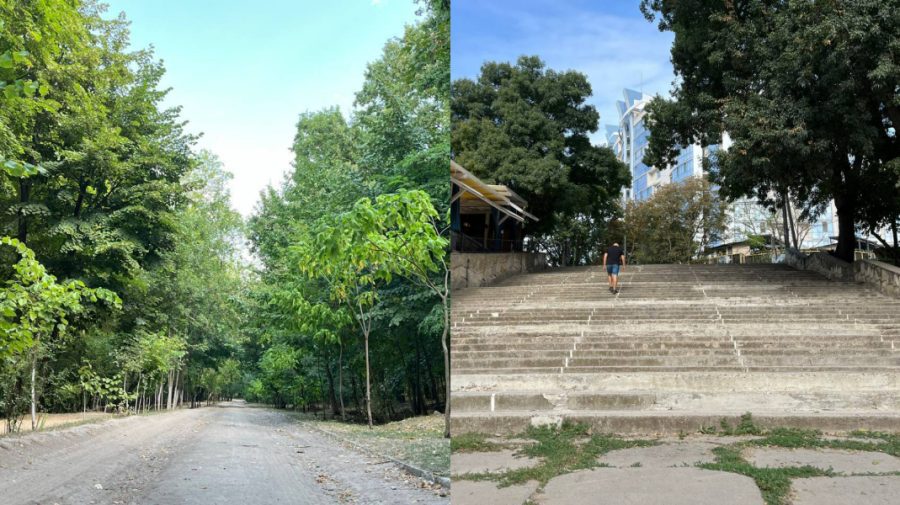 Pentru confortul vizitatorilor. Parcul-Pădure din sectorul Ciocana al capitalei va fi renovat
