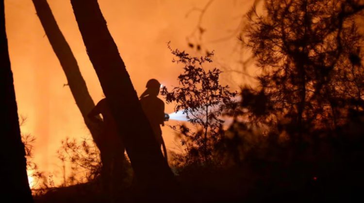 Incendii de vegetație în Turcia. Pompierii intervin cu sute de autospeciale, 31 de elicoptere și 14 avioane