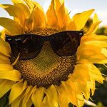 Cod galben de caniculă, anunțat în mai multe raioane din Moldova. Temperaturile maxime prognozate