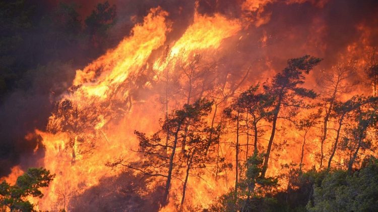 STUDIU Aerul poluat de incendii este asociat cu 1,5 milioane de decese pe an la nivel mondial