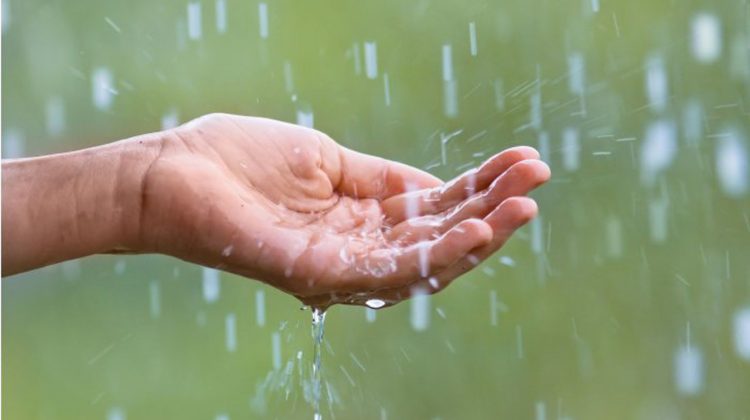 Meteorologii prognozează ploi de scurtă durată. Câte grade vor indica termometrele?