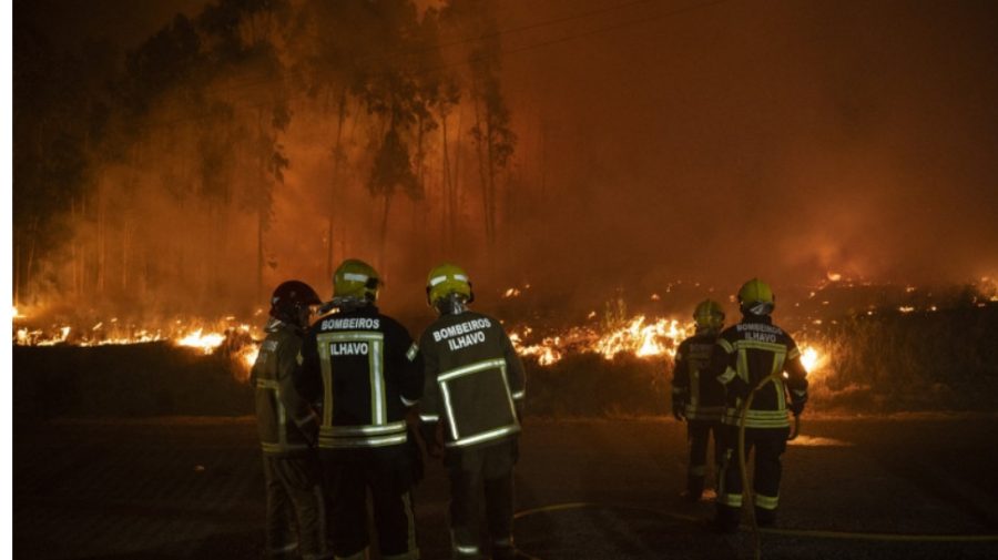 Incendii devastatoare în Portugalia. Mai multe persoane au murit, iar altele au fost rănite