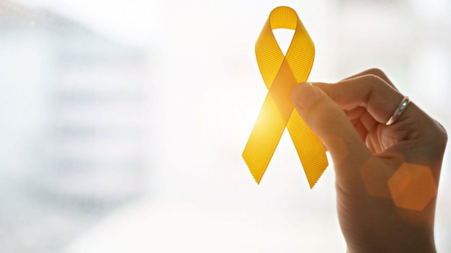 10 septembrie – Ziua mondială de prevenire a suicidului. În Capitală va avea loc o acțiune publică