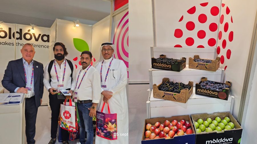 Fructele din Moldova, la cea mai mare expoziție de fructe din Asia. Vizitatorii au posibilitatea să le guste