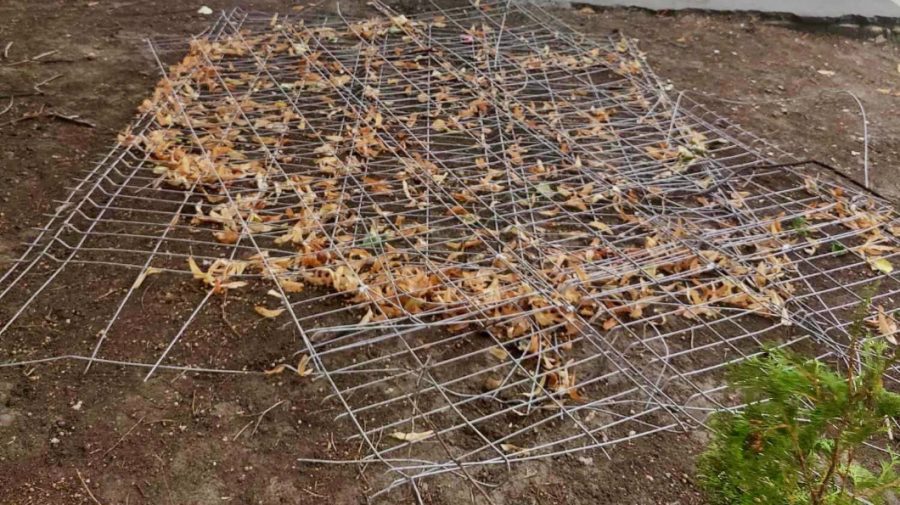 Detalii despre copiii răniți pe stadionul de la Ciocana: Mai mulți părinți au depus plângere la Pretură