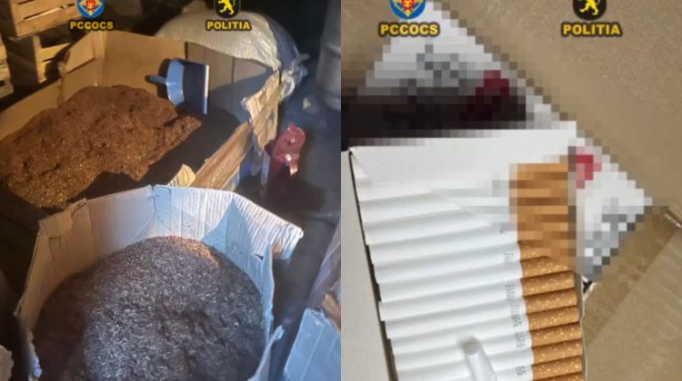 VIDEO Doi frați din Bălți, care dețineau o mini-fabrică de țigări, în vizorul procurorilor. Detalii despre percheziții