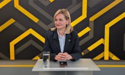 Candidatura lui Claudiu Năsui nu a fost discutată la partid. Doina Gherman: Decizia i-a aparținut premierului Tofan