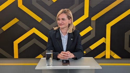 Candidatura lui Claudiu Năsui nu a fost discutată la partid. Doina Gherman: Decizia i-a aparținut premierului Tofan