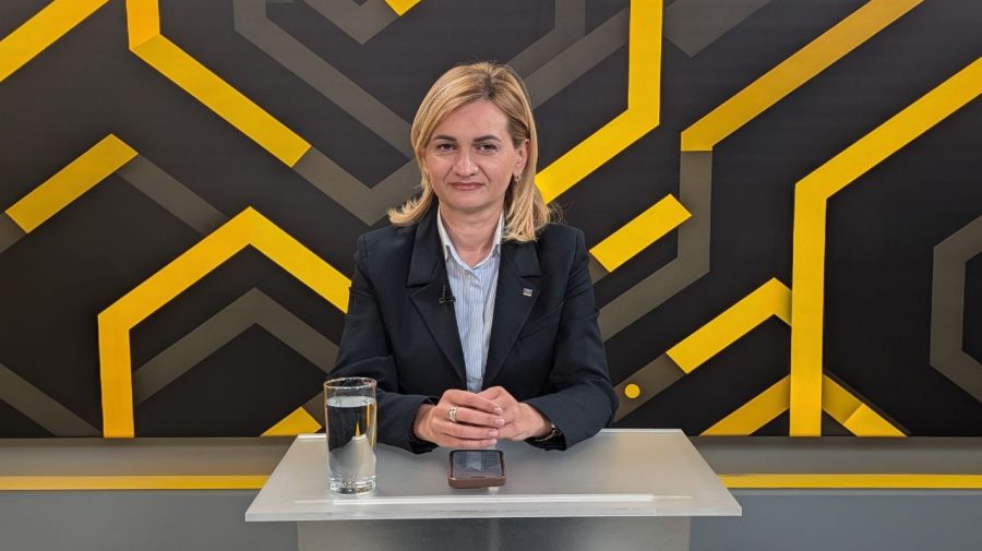 VIDEO Ce înseamnă modificarea Constituției, după referendum? Explicația vicepreședintei Parlamentului, Doina Gherman