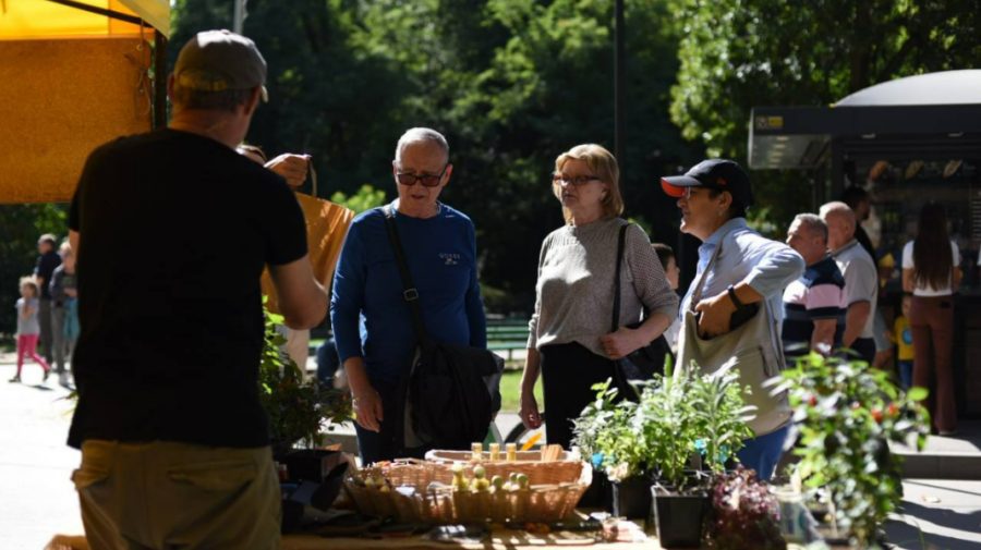 Deliciile toamnei, pe tarabele din Capitală! Târguri cu produse autohtone se desfășoară în weekend în toate sectoarele
