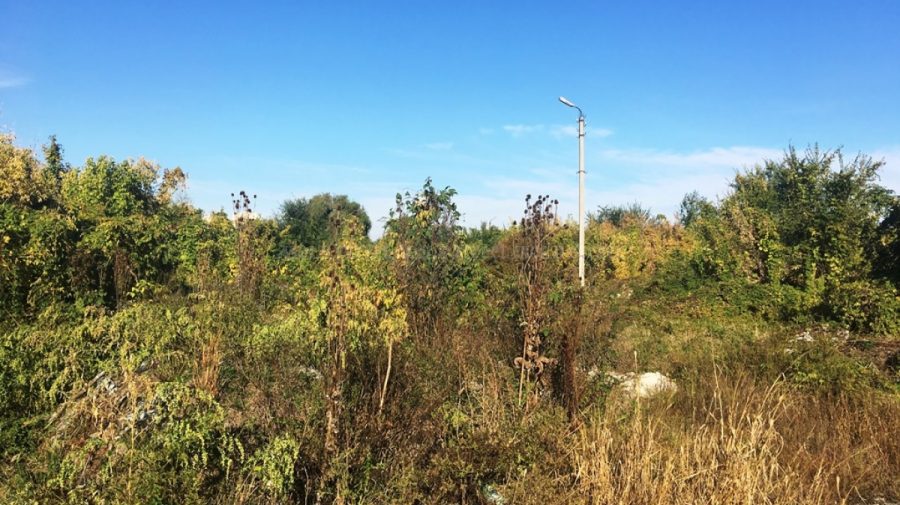 Terenurile agricole neprelucrate timp de doi ani vor ajunge în gestiunea primăriilor. Prevederile noului Cod Funciar