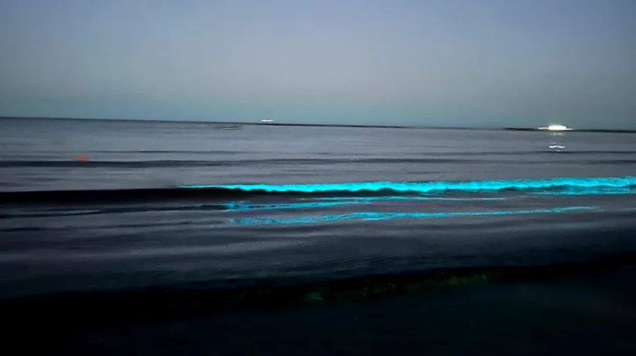 VIDEO Fenomen de bioluminiscență în Marea Neagră, observat de turiști și localnici