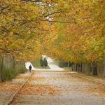 Prognoza meteo pentru 9 octombrie: Cer variabil și până la 28 de grade