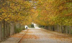 Prognoza meteo pentru 9 octombrie: Cer variabil și până la 28 de grade