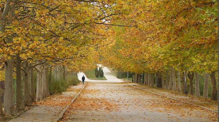 Cer variabil în toată țara și maxime de până la 23 grade Celsius