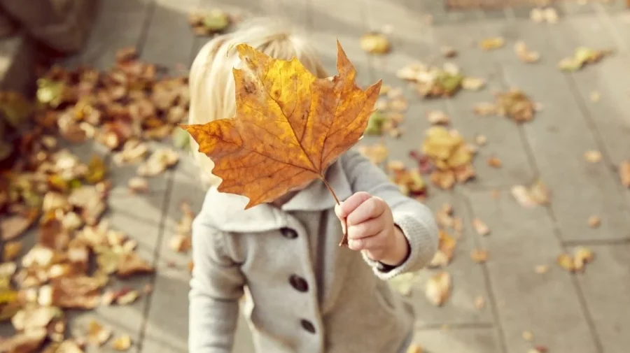 Vremea de alegeri: Cer variabil și temperaturi de până la +15 grade Celsius