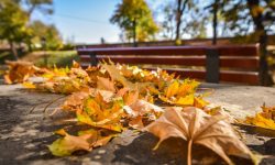 METEO pentru weekend: Soare cu dinți, vânt și câțiva stropi de ploaie