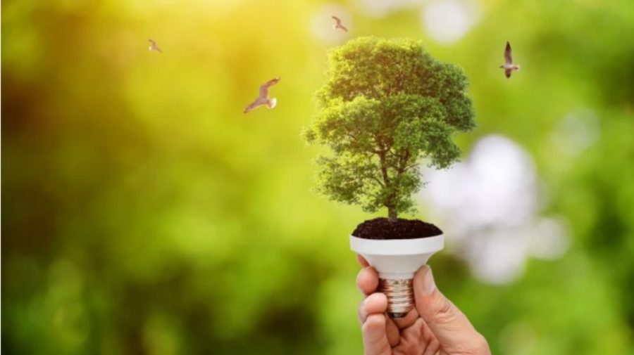 Unele produse importate în Moldova vor fi testate ecologic și energetic, după standardele europene